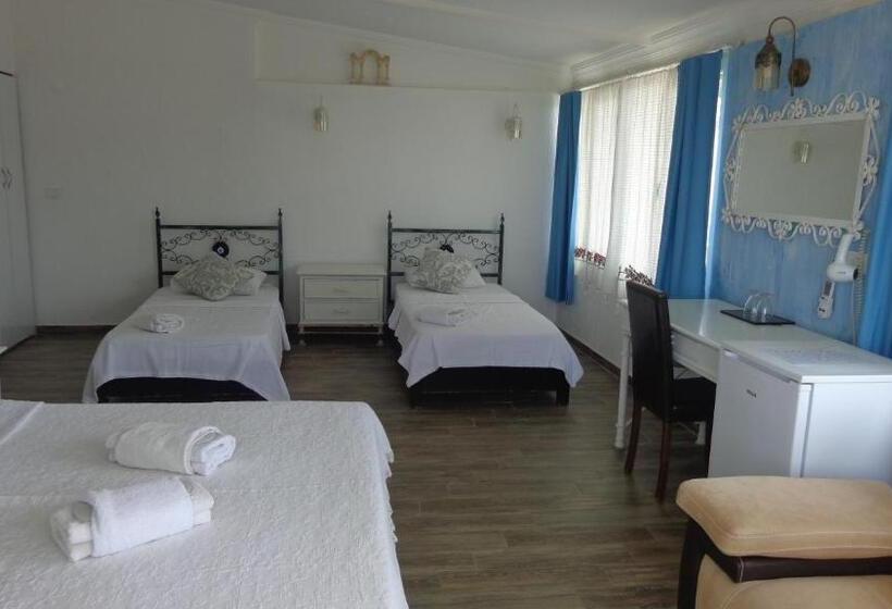 Fotos del hotel Villa Panorama:  8