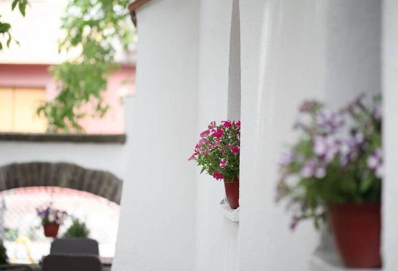 Fotos del hotel Garni  Dum:  21