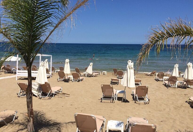 Fotos del hotel Artemis Bay By Checkin:  11