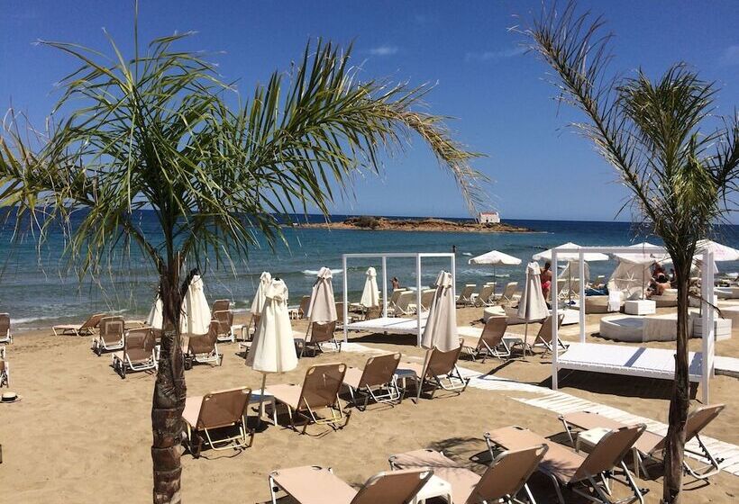 Fotos del hotel Artemis Bay By Checkin:  12