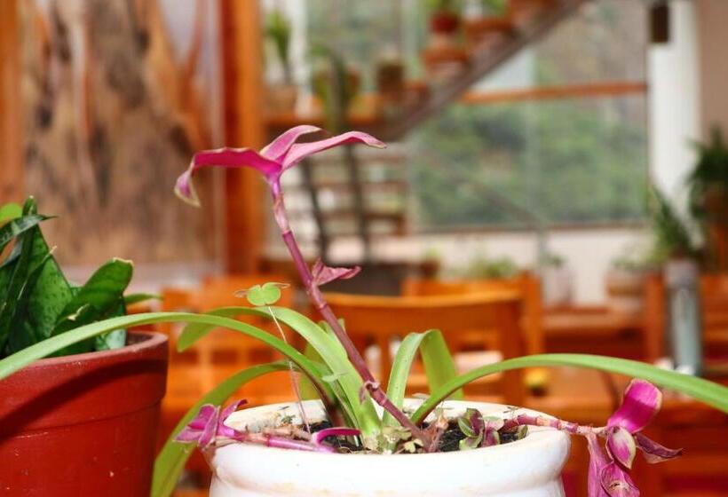 Fotos del hotel Waman:  4