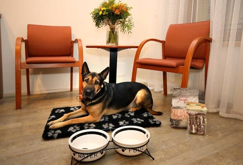 Fotos del hotel Andel Apartments Praha:  4