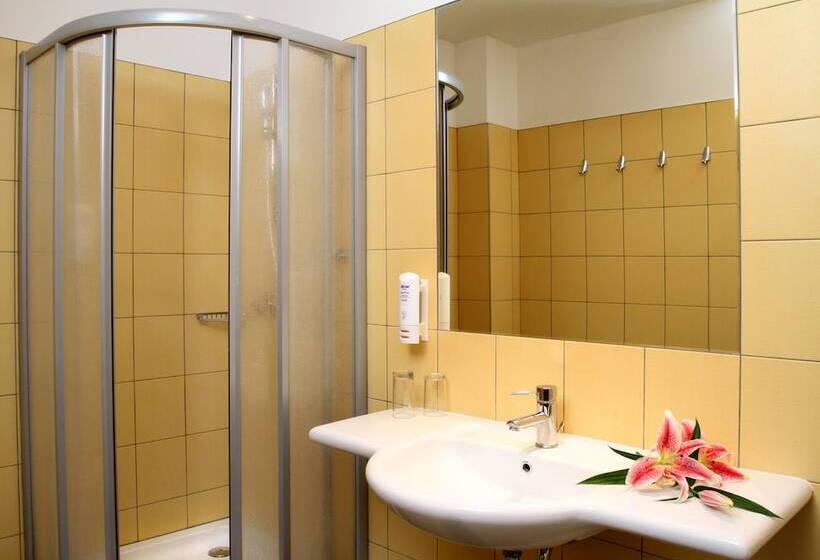 Fotos del hotel Maxim:  7