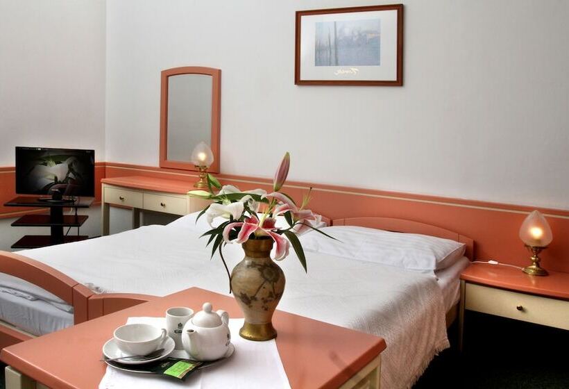 Fotos del hotel Maxim:  12