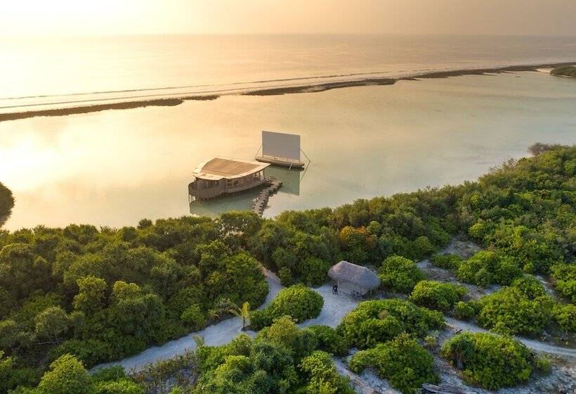 Fotos del hotel Soneva Jani:  3