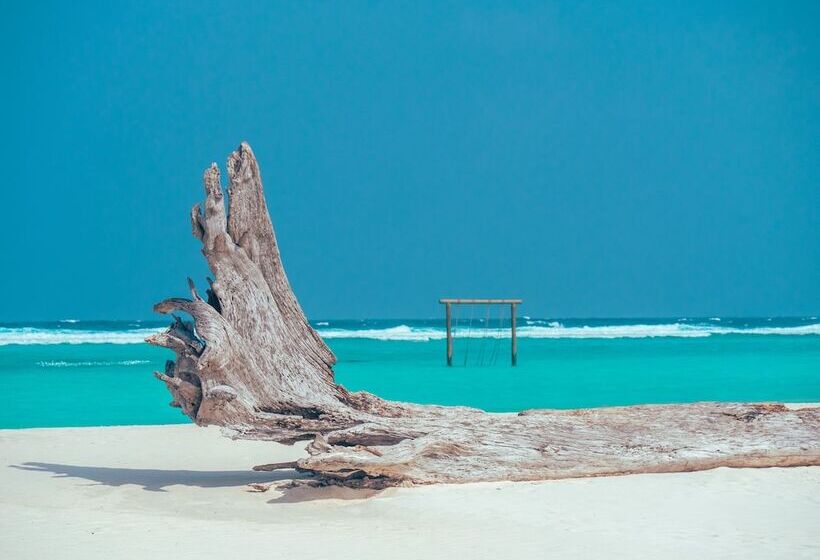 Fotos del hotel Soneva Jani:  20