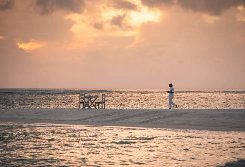 Fotos del hotel Soneva Jani:  19