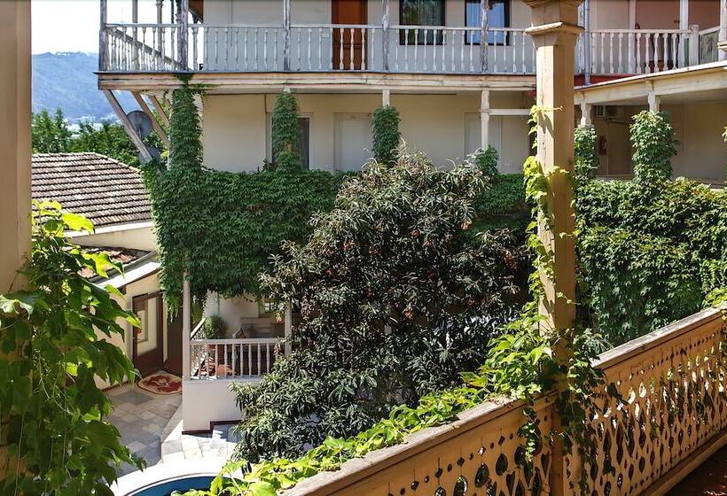 Fotos del hotel Nata:  16