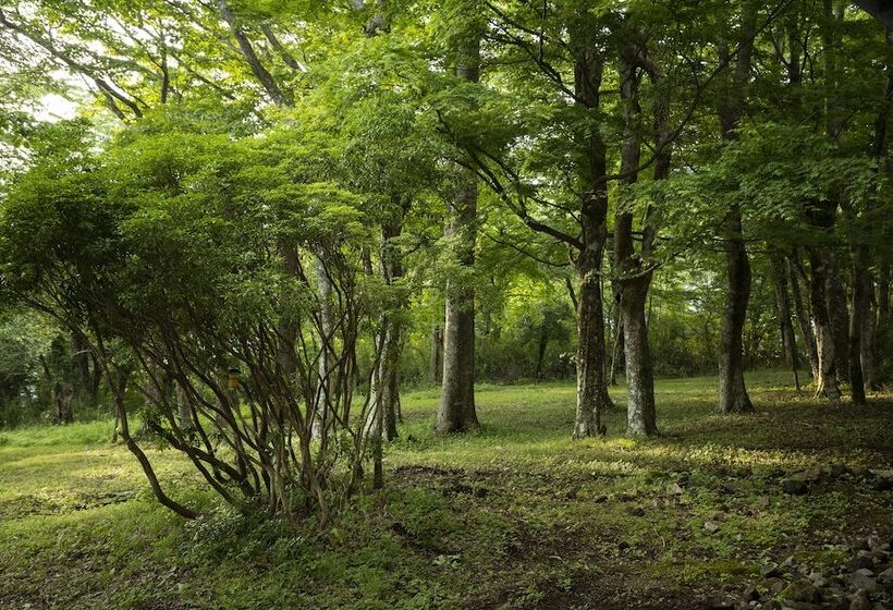 Fotos del hotel Hakone Retreat Fore:  9