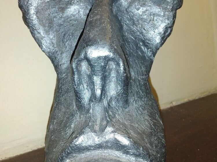 Fotos del hotel Esperanza & Artemisa Spa:  24