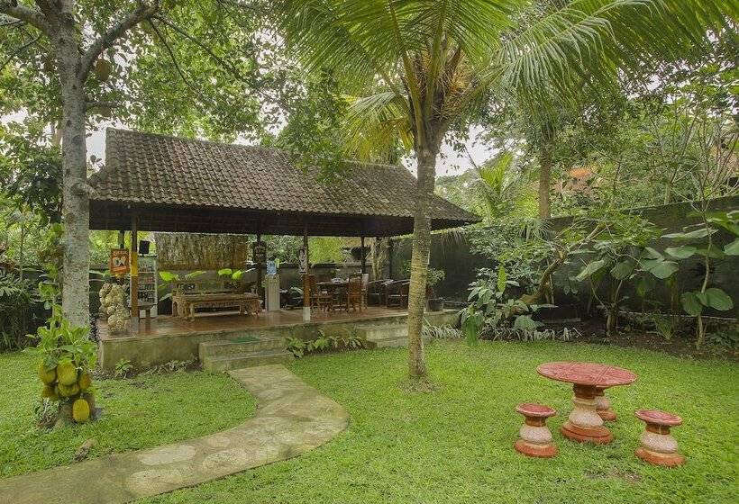 Fotos del hotel Sari Villa Ubud:  20