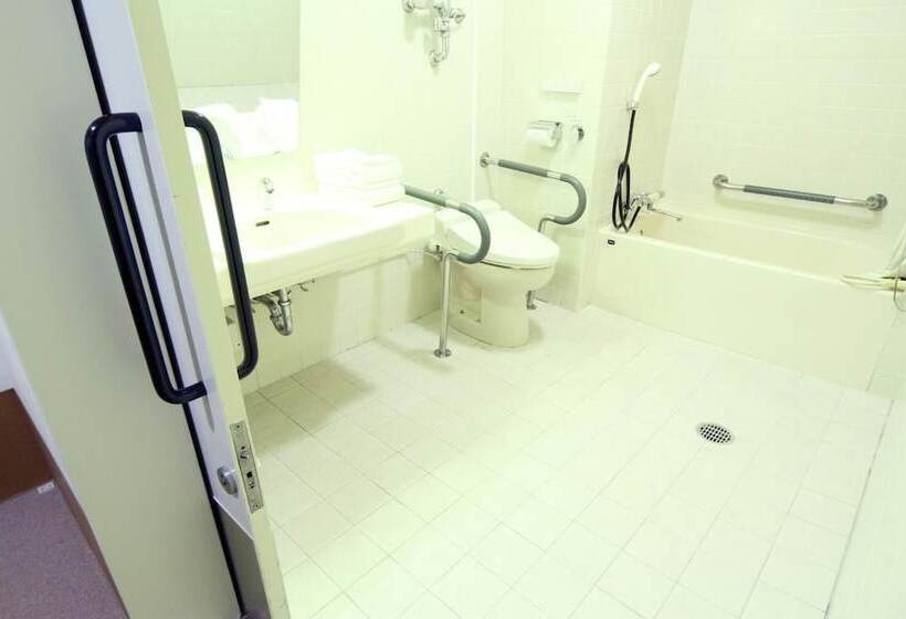 Fotos del hotel Hiroshima Sunplaza:  13