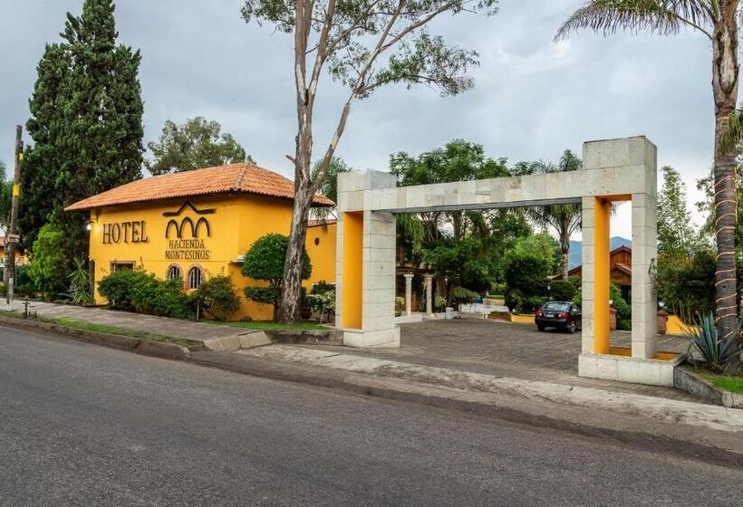 Fotos del hotel & Suites Hacienda Montesinos:  2