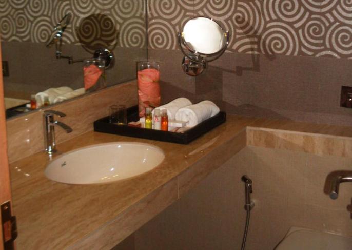 Fotos del hotel Sai Palace Inn:  22