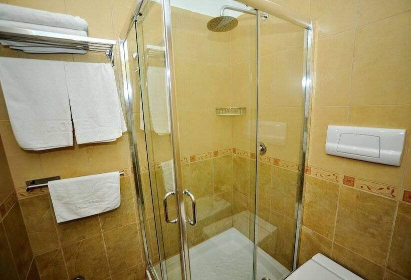 Fotos del hotel Dream:  7