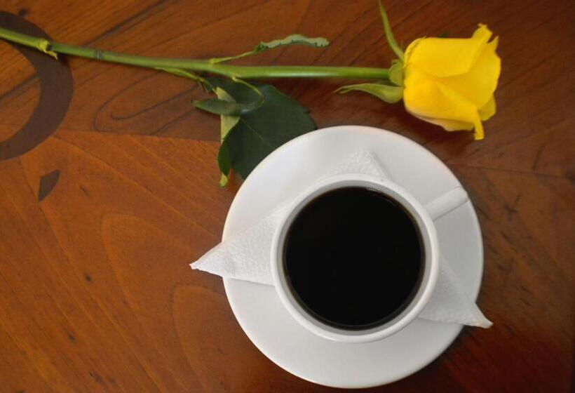 Fotos del hotel Castell:  9