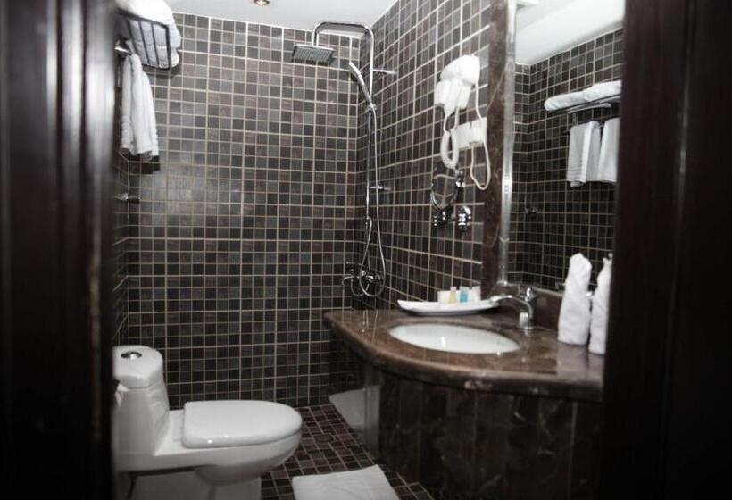 Fotos del hotel Plaza Business:  6