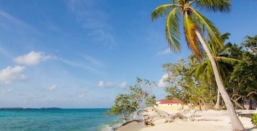 Fotos del hotel Leisure Boutique:  6