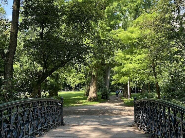 Fotos del hotel Bed And Breakfast Amsterdam:  25