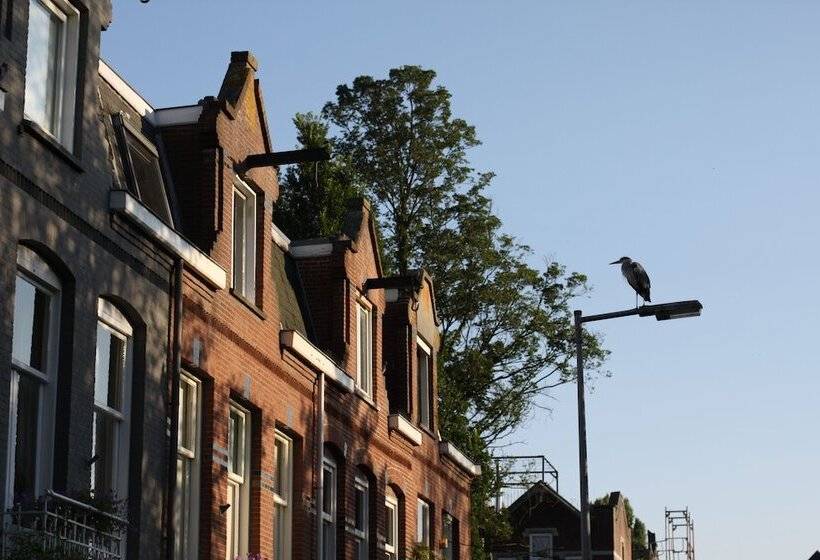 Fotos del hotel Bed And Breakfast Amsterdam:  12