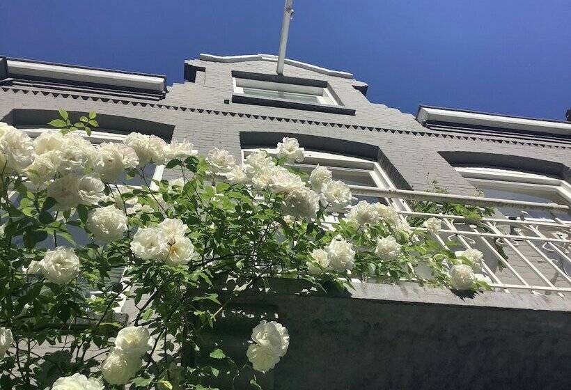 Fotos del hotel Bed And Breakfast Amsterdam:  21