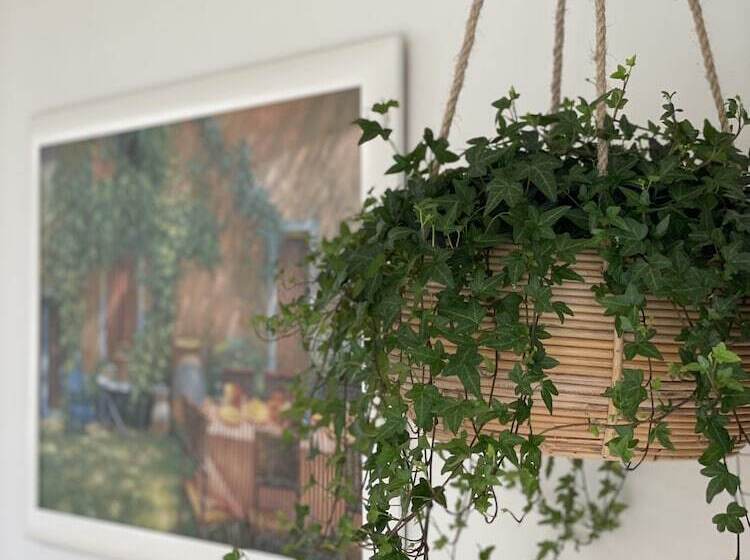 Fotos del hotel Bed And Breakfast Amsterdam:  9