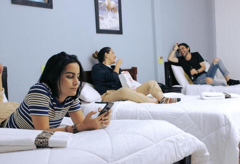 Fotos del hotel 4 Mundos:  24