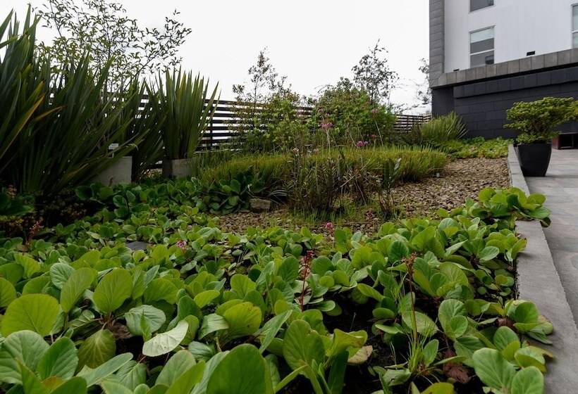 Fotos del hotel City Express Plus Bogota Aeropuerto:  9