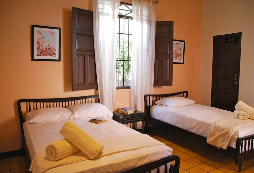 Fotos del hotel Del Parque:  15