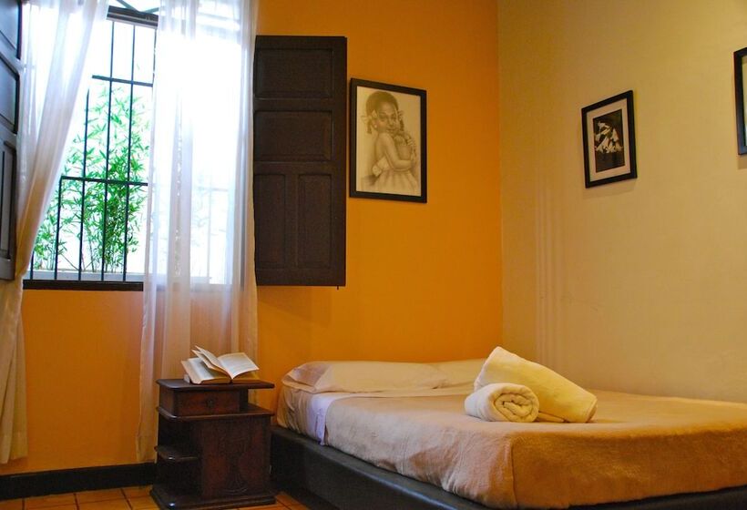 Fotos del hotel Del Parque:  13