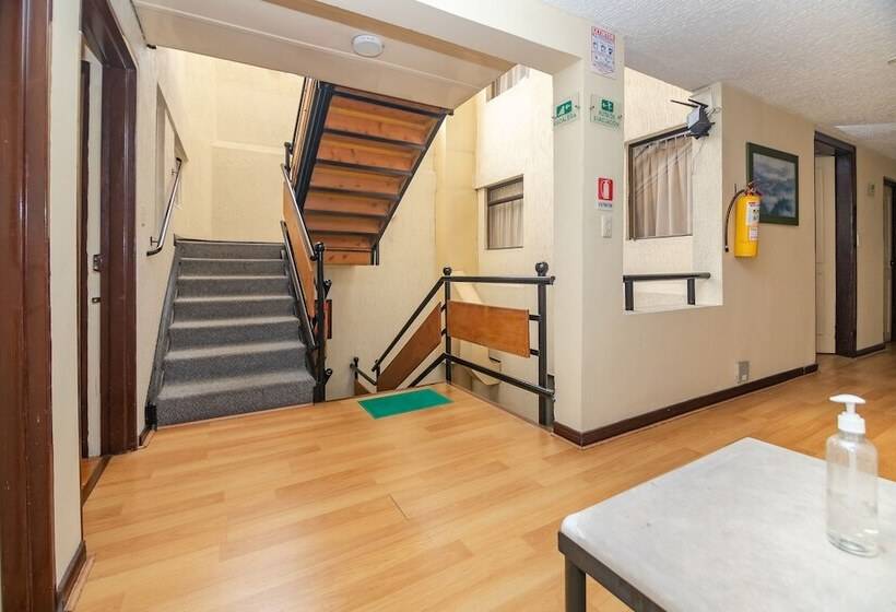 Fotos del hotel Ayenda 1143 La Camelia:  24