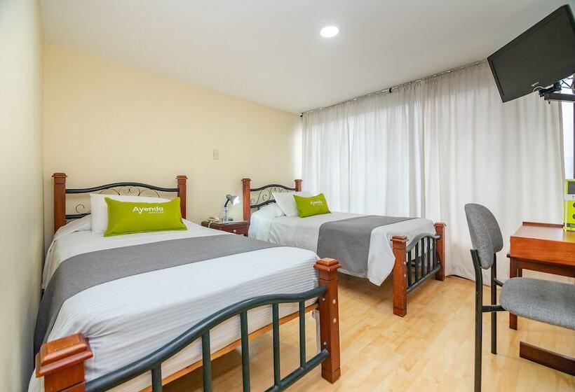 Fotos del hotel Ayenda 1143 La Camelia:  19