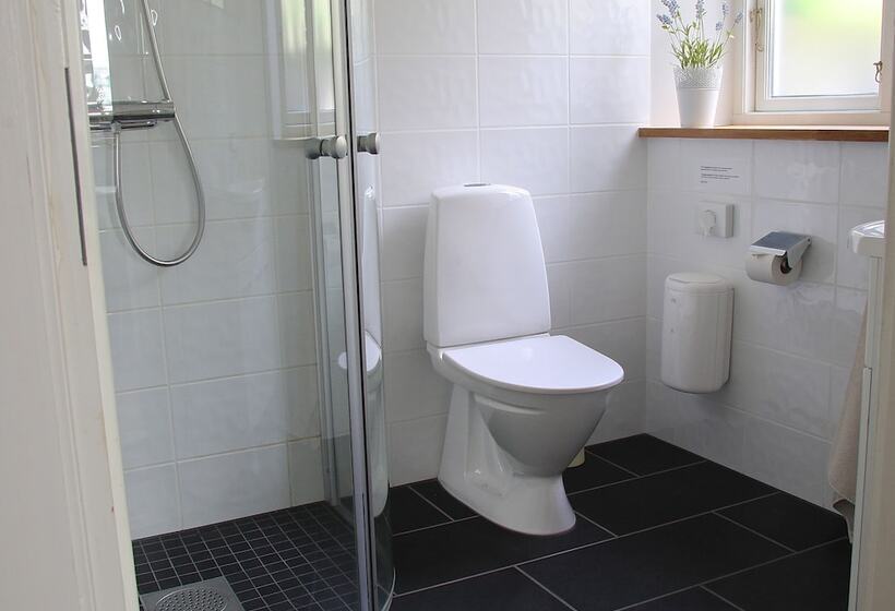 Fotos del hotel Millasvilla:  8