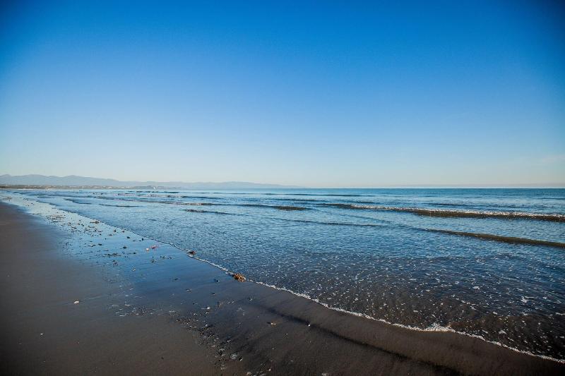 Fotos del hotel Rabbit Island Huts:  4