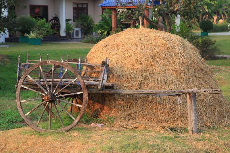 Fotos del hotel The Ricefields:  9
