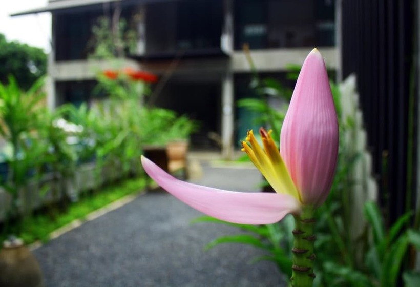 Fotos del hotel Nawa Sheeva:  12