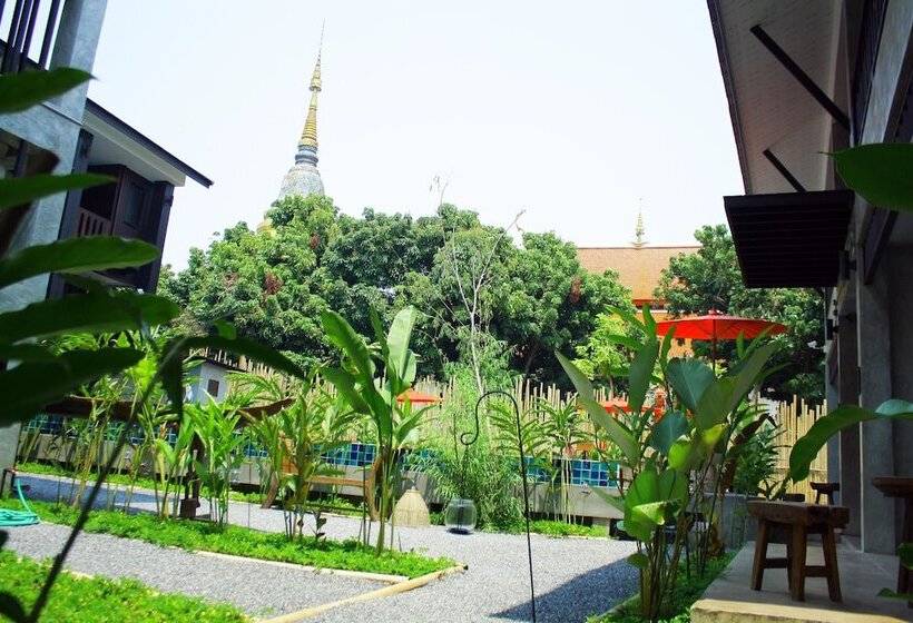 Fotos del hotel Nawa Sheeva:  6