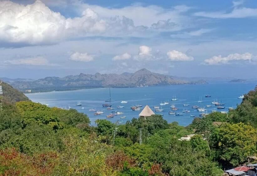 Fotos del hotel Cf Komodo:  12