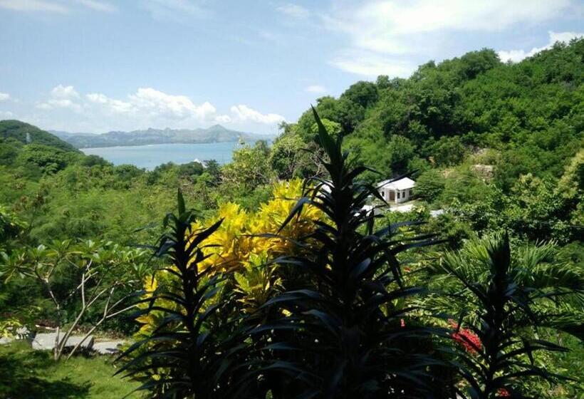 Fotos del hotel Cf Komodo:  5