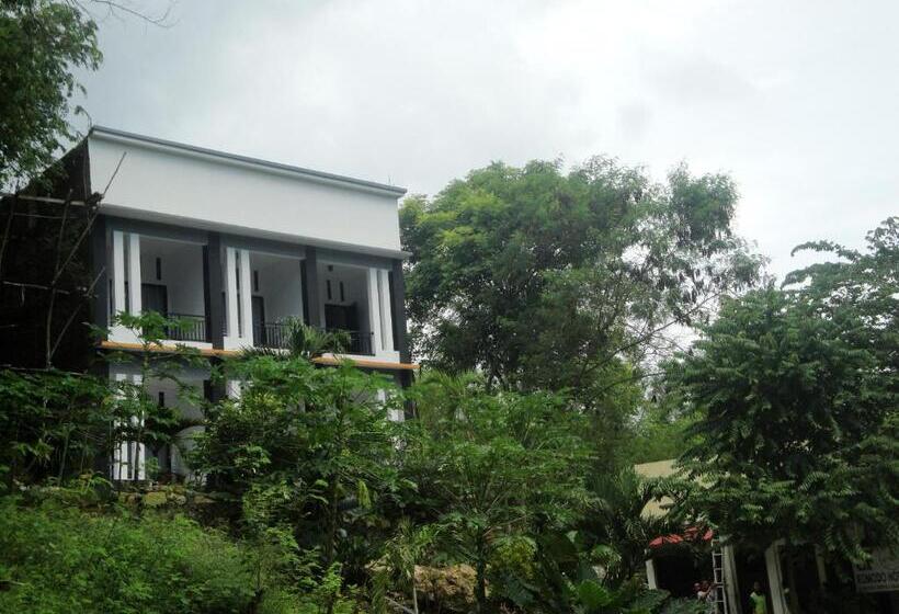 Fotos del hotel Cf Komodo:  21