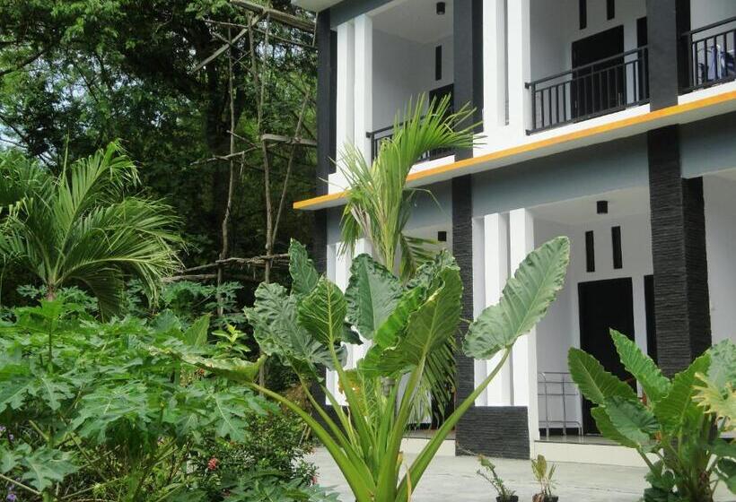 Fotos del hotel Cf Komodo:  25