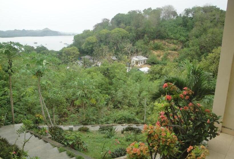 Fotos del hotel Cf Komodo:  17