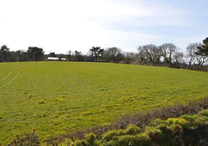 Fotos del hotel Trelawne:  22