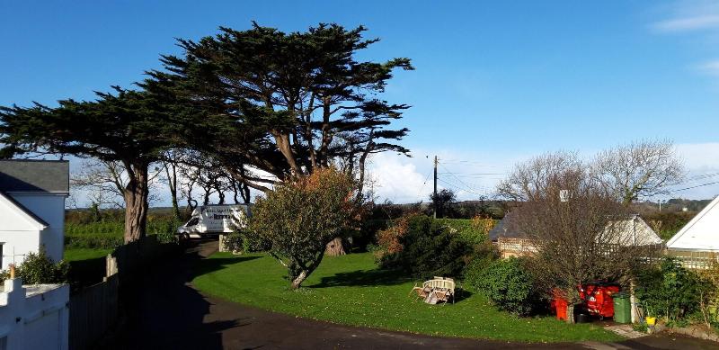 Fotos del hotel Trelawne:  23