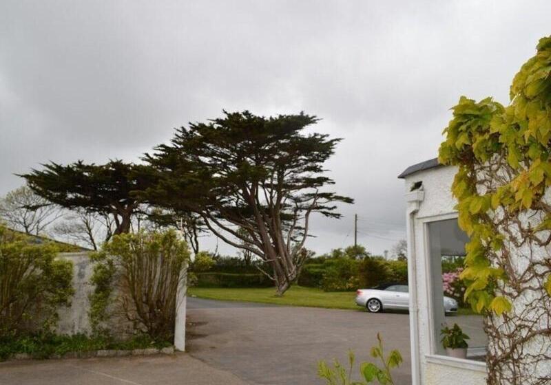 Fotos del hotel Trelawne:  24