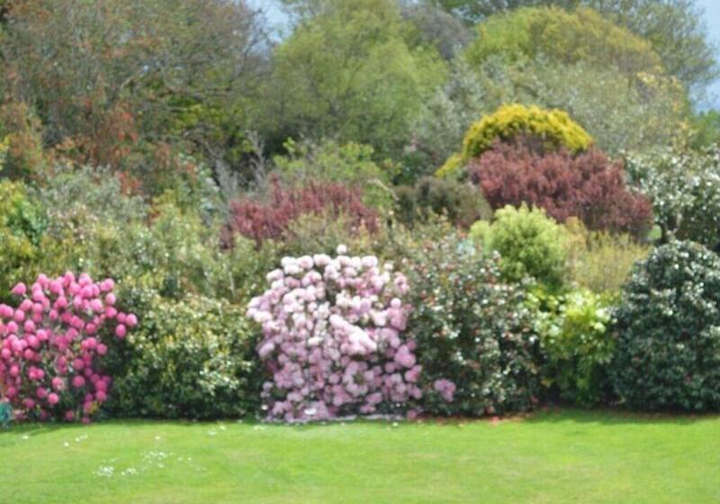 Fotos del hotel Trelawne:  9