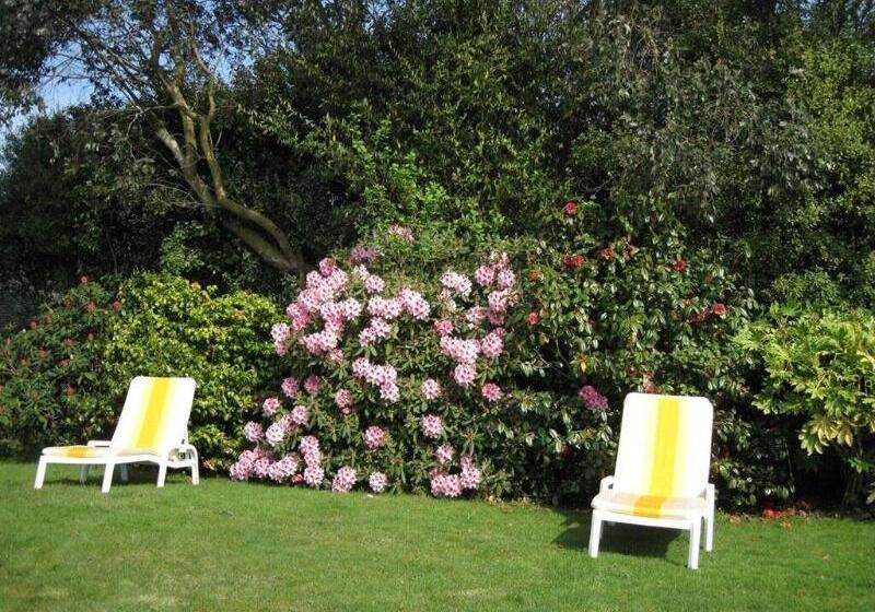 Fotos del hotel Trelawne:  25