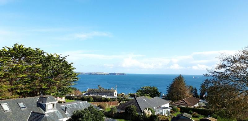 Fotos del hotel Trelawne:  8