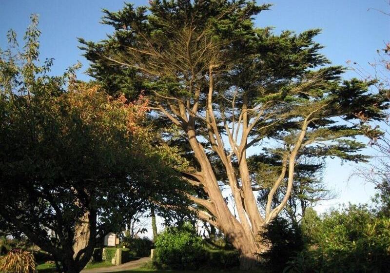 Fotos del hotel Trelawne:  13