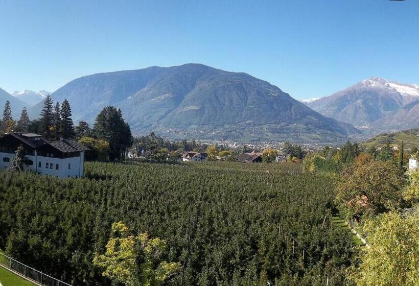 Fotos del hotel Pension Verdorfer:  7